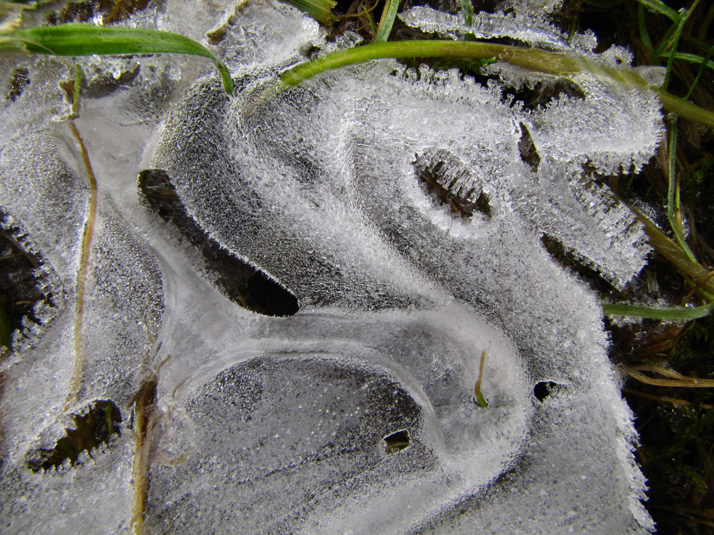 Whirls